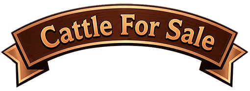 Cattle For Sale Banner